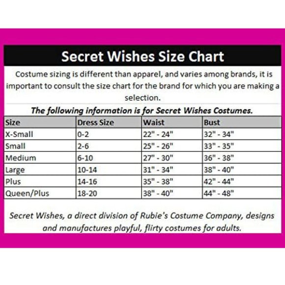 Rubie's Other Wizard Of Oz Secret Wishes Dorothy Costume Nwt Poshmark